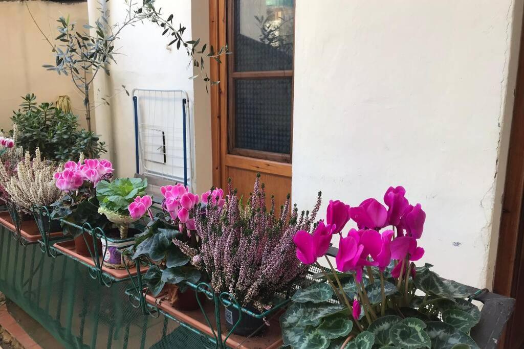Deluxe Apartment In The Centre Of Floransa Dış mekan fotoğraf